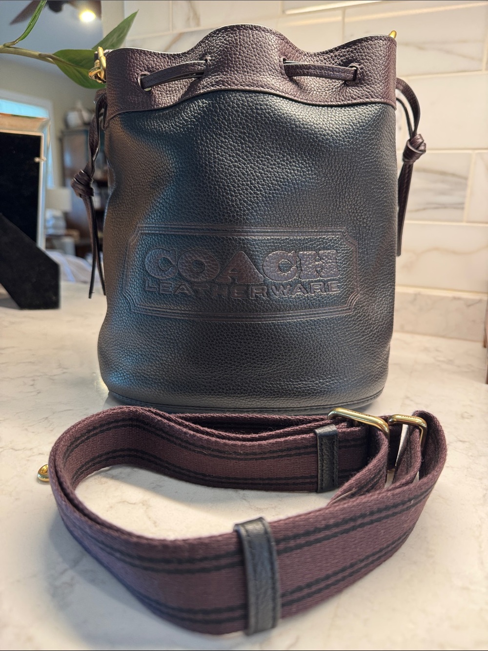 Coach Field Bucket Bag in Colorblock with Coach Badge C3850 - Rare - Picture 3 of 9